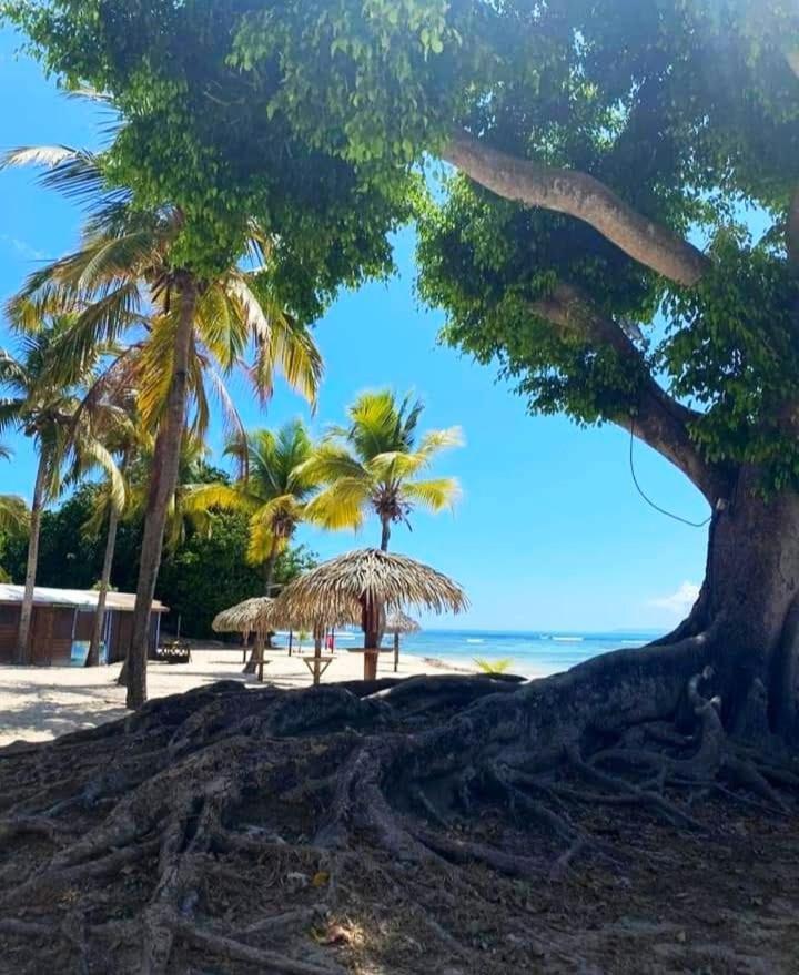 Le Ti'Paradise Anse Des Rochers Belle-Allée المظهر الخارجي الصورة